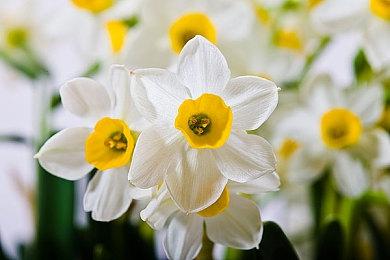 《八方旅人2》TGS 2022试玩20分钟实机内容分享